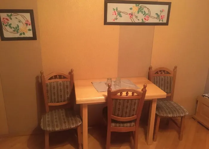 Svitlytsia Inn Tyachiv