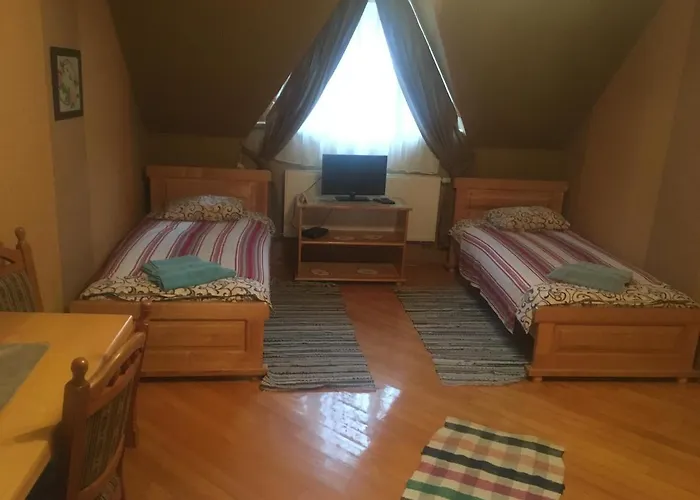 Svitlytsia Inn Tyachiv